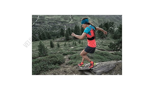 Шкарпетки Dynafit Alpine Short - дополнительное фото 1