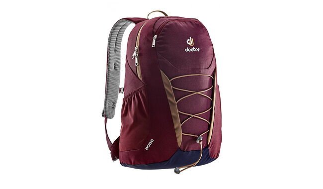 Рюкзак Deuter Gogo 25 - фото 3