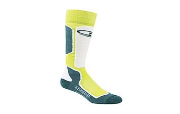Шкарпетки Icebreaker Ski+ Lite OTC Wmn