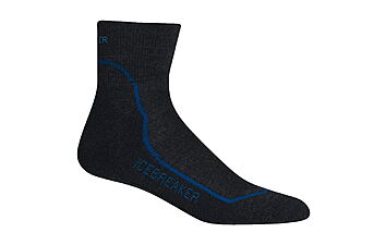 Шкарпетки Icebreaker Hike+ Lite Mini Men