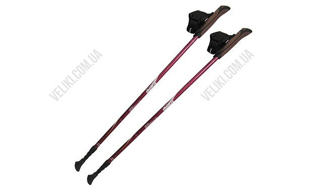 Палиці для скандинавської ходьби Tramp Fitness - дополнительное фото 2