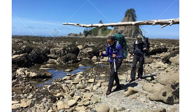 Палиці трекінгові Black Diamond Women's Trail - дополнительное фото 4