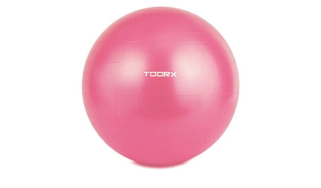 Фитбол Toorx Gym Ball 55 см - фото 1