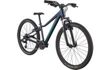 Велосипед Cannondale Kids Trail 24 - дополнительное фото 1