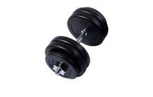 Гантель WCG з металевим грифом 1х28 кг - фото 1