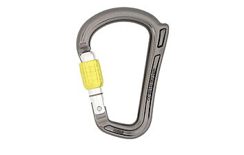 Карабин DMM Rhino SG