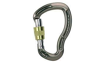 Карабин DMM Sentinel SG