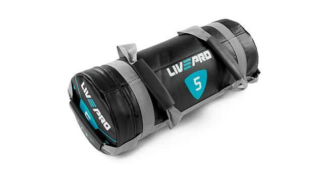 Мішок для кросфіту LivePro Power Bag 5 кг - фото 1