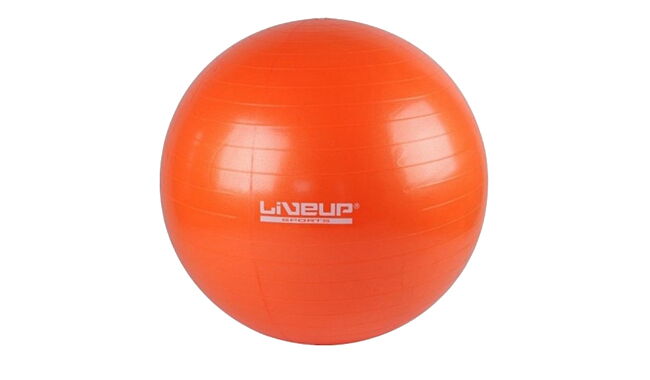 Фитбол LiveUp Gym Ball 55 см - фото 1