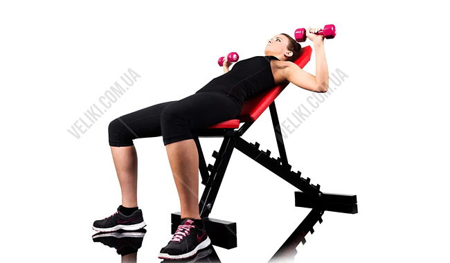 Скамья для жима WCG Pro-10 - дополнительное фото 1