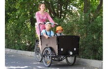 Велосипед Vega Riksha-1 - дополнительное фото 26