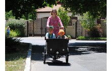 Велосипед Vega Riksha-1 - дополнительное фото 27