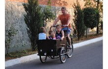 Велосипед Vega Riksha-1 - дополнительное фото 31