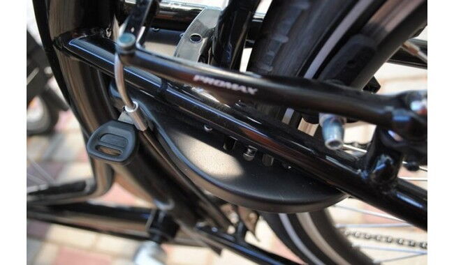 Велосипед Vega Riksha-1 - дополнительное фото 11