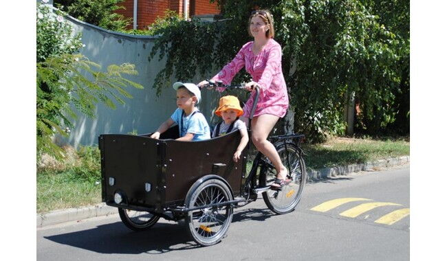 Велосипед Vega Riksha-1 - дополнительное фото 25