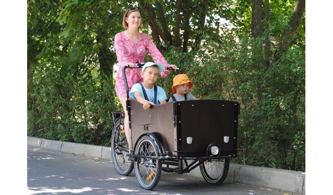 Велосипед Vega Riksha-1 - дополнительное фото 26