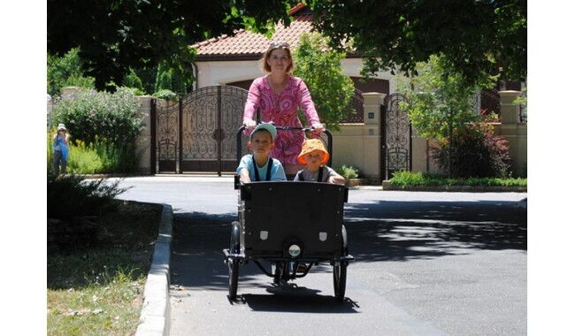 Велосипед Vega Riksha-1 - дополнительное фото 27