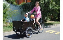 Велосипед Vega Riksha-1 - дополнительное фото 25