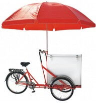 Велосипед Vega Riksha-2 з теромобоксом та парасолькою