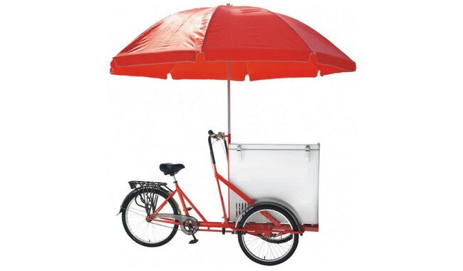 Велосипед Vega Riksha-2 з теромобоксом та парасолькою - фото 1