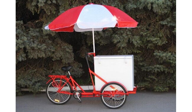 Велосипед Vega Riksha-2 з теромобоксом та парасолькою - дополнительное фото 1