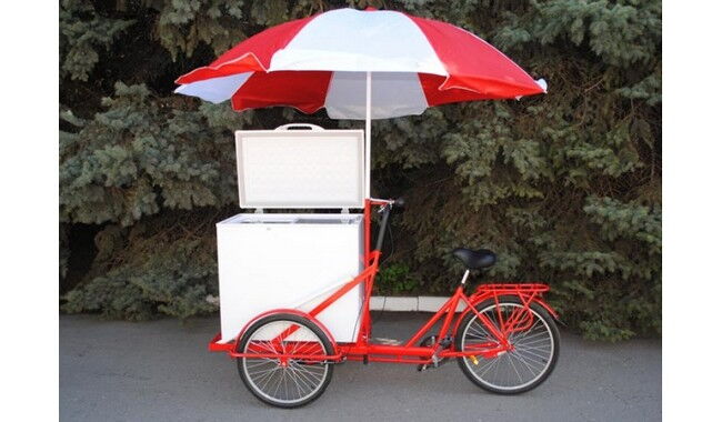 Велосипед Vega Riksha-2 з теромобоксом та парасолькою - дополнительное фото 2