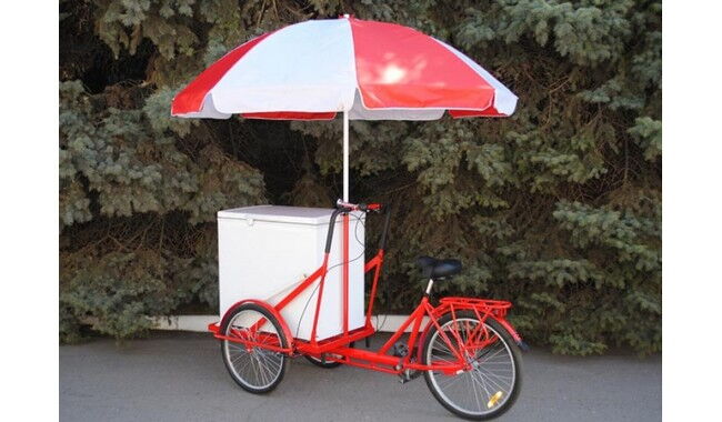 Велосипед Vega Riksha-2 з теромобоксом та парасолькою - дополнительное фото 3