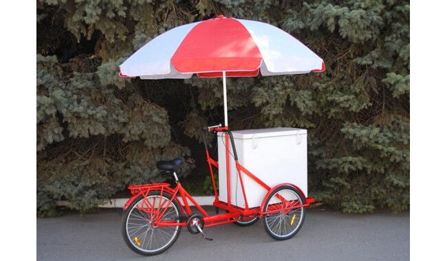 Велосипед Vega Riksha-2 з теромобоксом та парасолькою - дополнительное фото 4