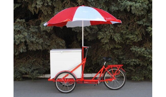 Велосипед Vega Riksha-2 з теромобоксом та парасолькою - дополнительное фото 5