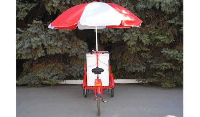 Велосипед Vega Riksha-2 з теромобоксом та парасолькою - дополнительное фото 6