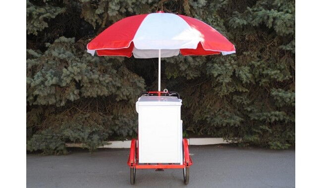 Велосипед Vega Riksha-2 з теромобоксом та парасолькою - дополнительное фото 7