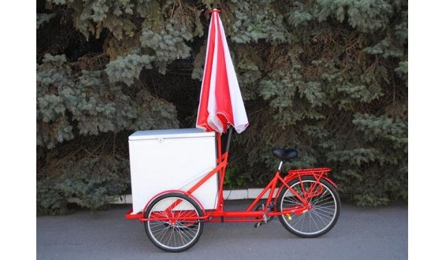 Велосипед Vega Riksha-2 з теромобоксом та парасолькою - дополнительное фото 8