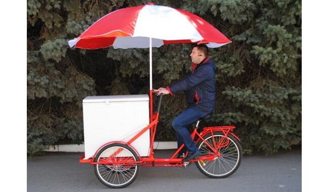 Велосипед Vega Riksha-2 з теромобоксом та парасолькою - дополнительное фото 9