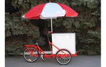 Велосипед Vega Riksha-2 з теромобоксом та парасолькою - дополнительное фото 1