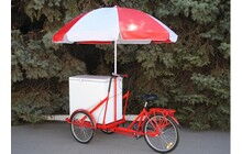 Велосипед Vega Riksha-2 з теромобоксом та парасолькою - дополнительное фото 3