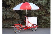 Велосипед Vega Riksha-2 з теромобоксом та парасолькою - дополнительное фото 4