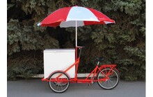 Велосипед Vega Riksha-2 з теромобоксом та парасолькою - дополнительное фото 5