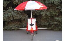 Велосипед Vega Riksha-2 з теромобоксом та парасолькою - дополнительное фото 6