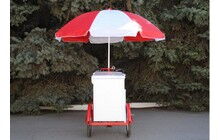 Велосипед Vega Riksha-2 з теромобоксом та парасолькою - дополнительное фото 7