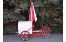 Велосипед Vega Riksha-2 з теромобоксом та парасолькою - дополнительное фото 8