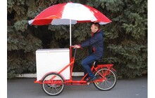 Велосипед Vega Riksha-2 з теромобоксом та парасолькою - дополнительное фото 9