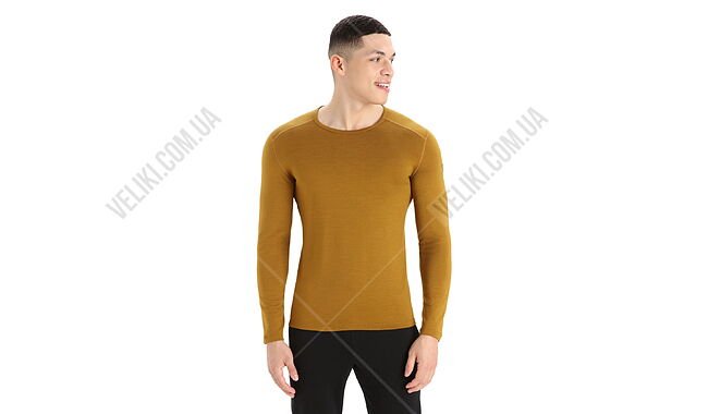 Термофутболка Icebreaker 260 Tech LS Crewe - дополнительное фото 1