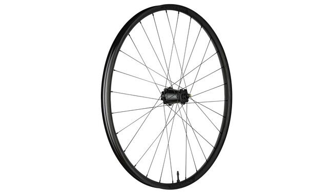 Колесо переднее Race Face Turbine R 30 29" - дополнительное фото 1