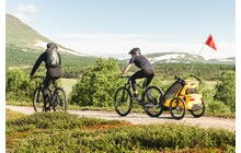 Мультиспортивная коляска Thule Chariot Sport 1 - дополнительное фото 5