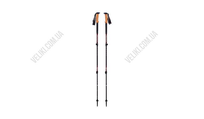 Палки треккинговые Black Diamond Trail Cork Woman - дополнительное фото 1