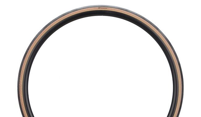 Покрышка Panaracer Agilest 700x25C - дополнительное фото 6