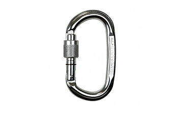 Карабін Climbing Technology Pillar SG