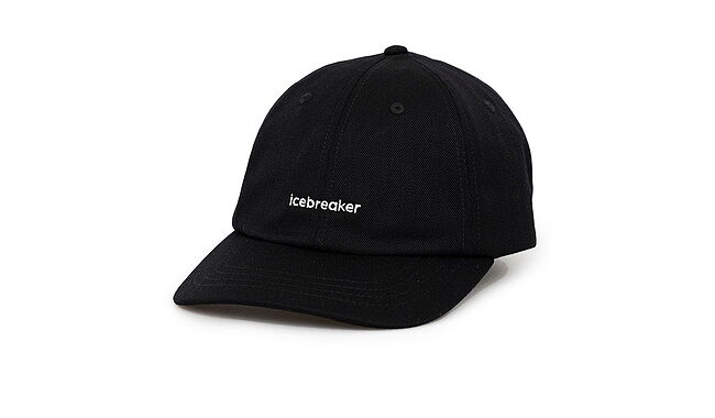 Кепка Icebreaker 6 Panel - фото 1