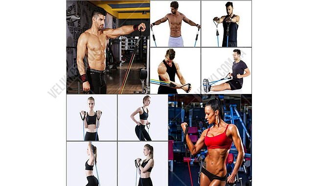 Набір еспандерів Newt Power Strength Tube NE-PW-5 - дополнительное фото 2