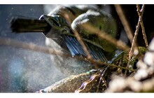 Щітка Muc-Off Claw - дополнительное фото 1